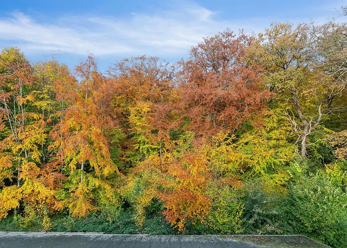 Hc Andersen * Odense